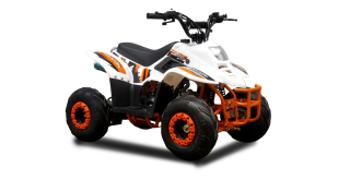 KXD ATV 125cc 001 6"